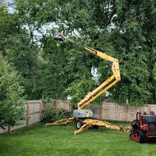 Best Lawn Mowing  in Archer City, TX