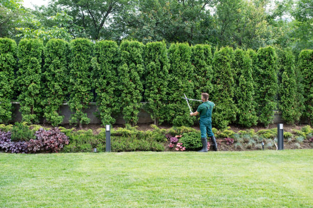 Best Hazardous Tree Removal  in Archer City, TX